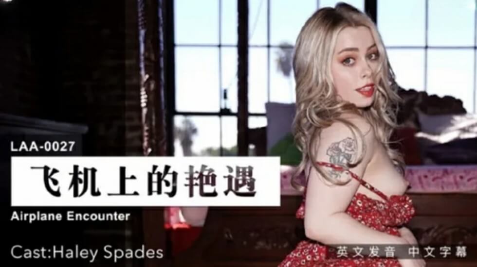 飞机上的艳遇：万米高空厕所激情，陌生美女跪求抽插！