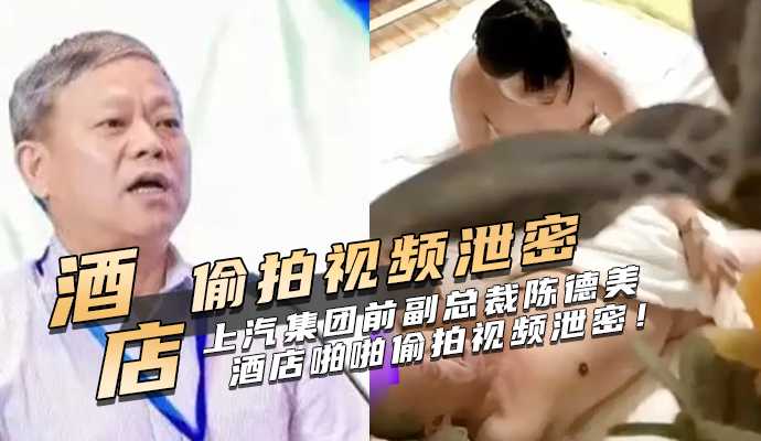 上海汽集团前副总裁陈德美被查！接受巨额贿赂和色情服务！酒店啪啪偷拍视频泄密！