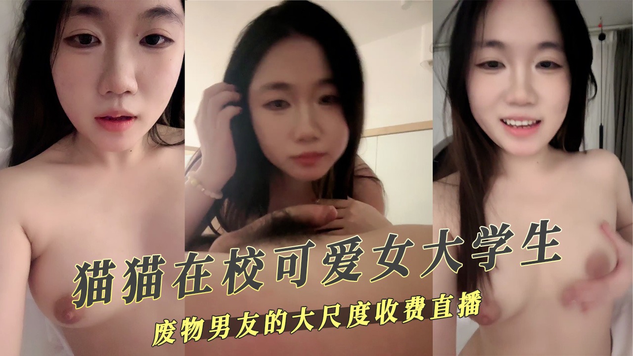 猫猫在校可爱女大学生大尺度收费直播