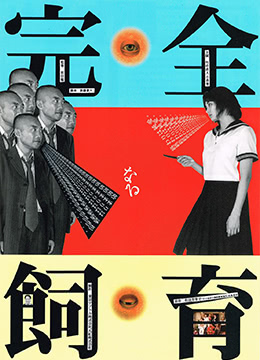 密室调教：欲望的囚禁与绽放