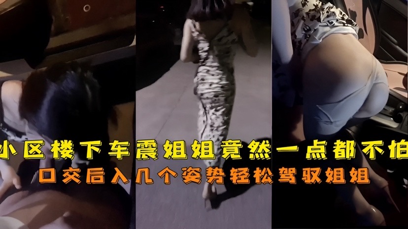 [无码] 小区楼下姐姐车震狂野 骚穴被爆操到失禁